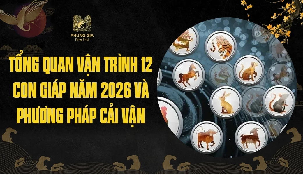 Tổng quan vận trình 12 con giáp năm 2026 và phương pháp cải vận